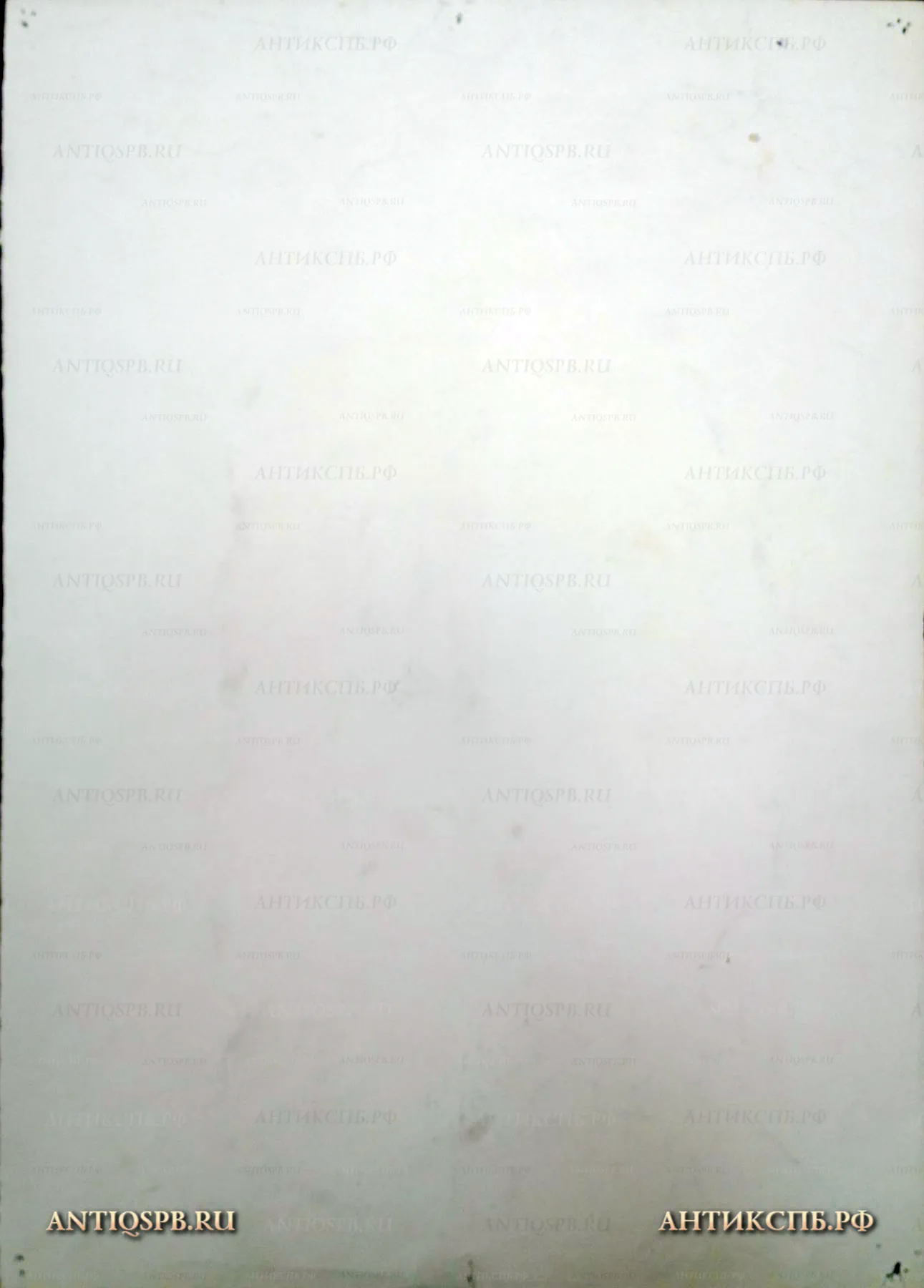 Рисунок "Голова". Бумага, карандаш. Вт. четв. ХХ века. №17339.18
